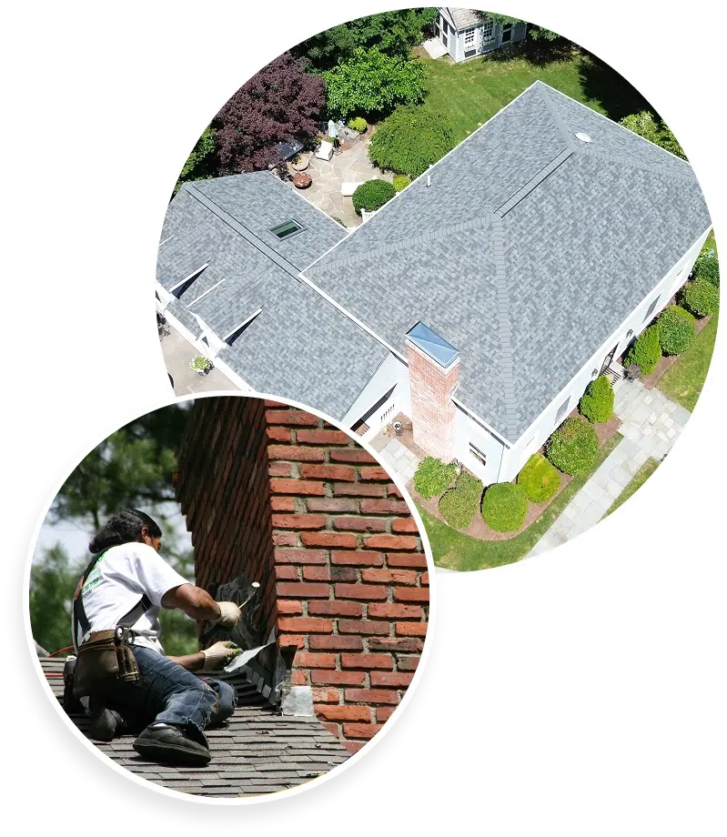 What To Expect Image